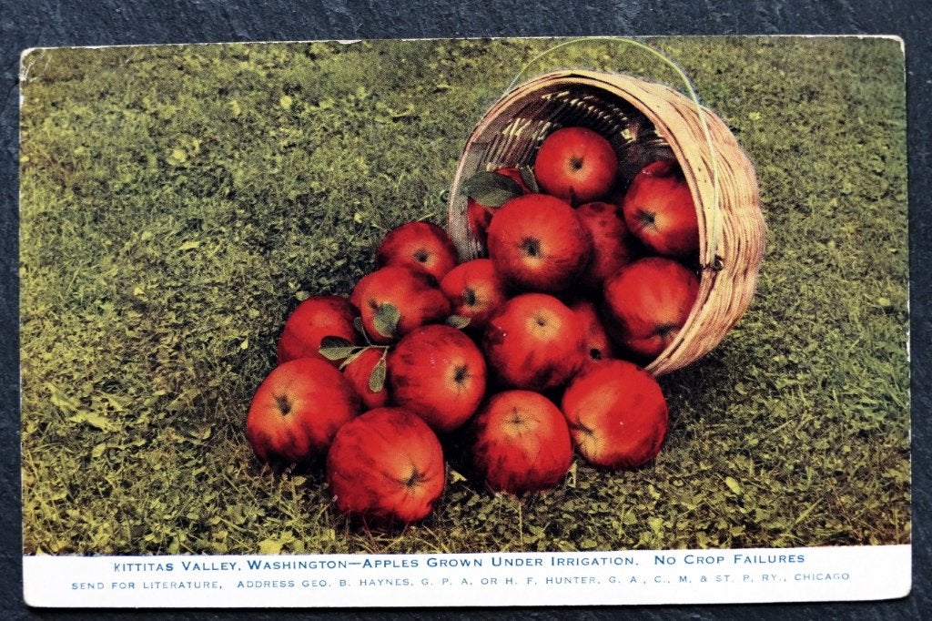 Appels geteeld met irrigatiesyteem, Reclame Haynes, Chicago, Ophalen of Verzenden, 1920 tot 1940, Ongelopen, Natuur