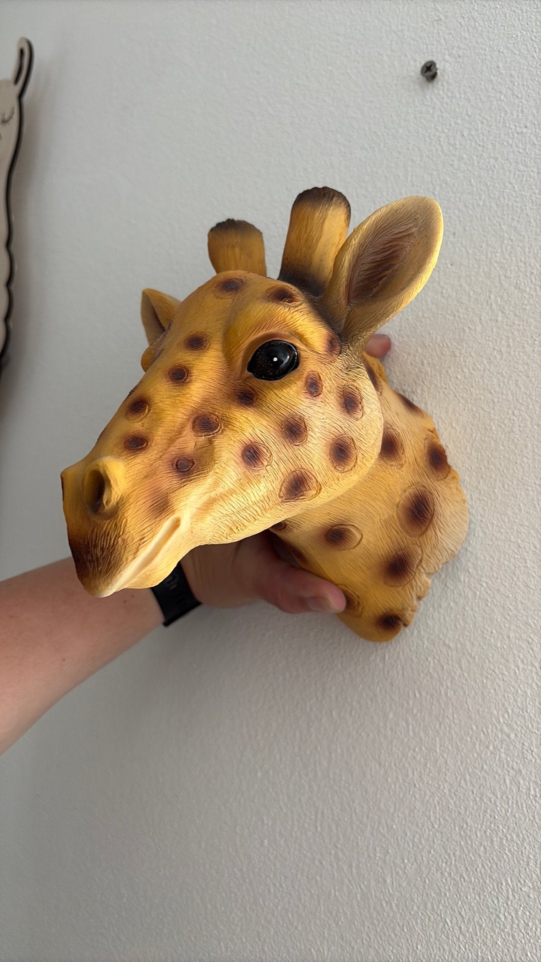 Giraffen kop voor aan de wand, Ophalen, Zo goed als nieuw, Wanddecoratie