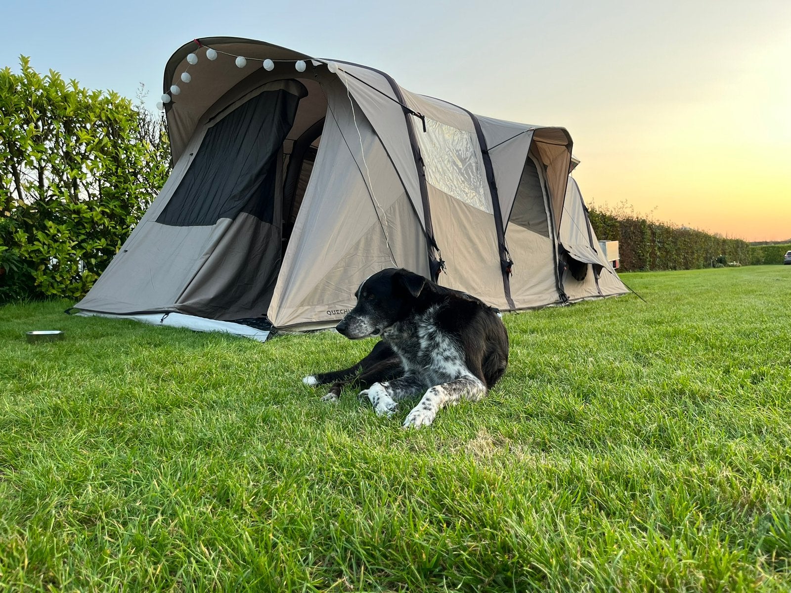 Hele mooie snelle polycotton opblaastent voor 6 personen, Caravans en Kamperen, Tenten, Ophalen, Zo goed als nieuw