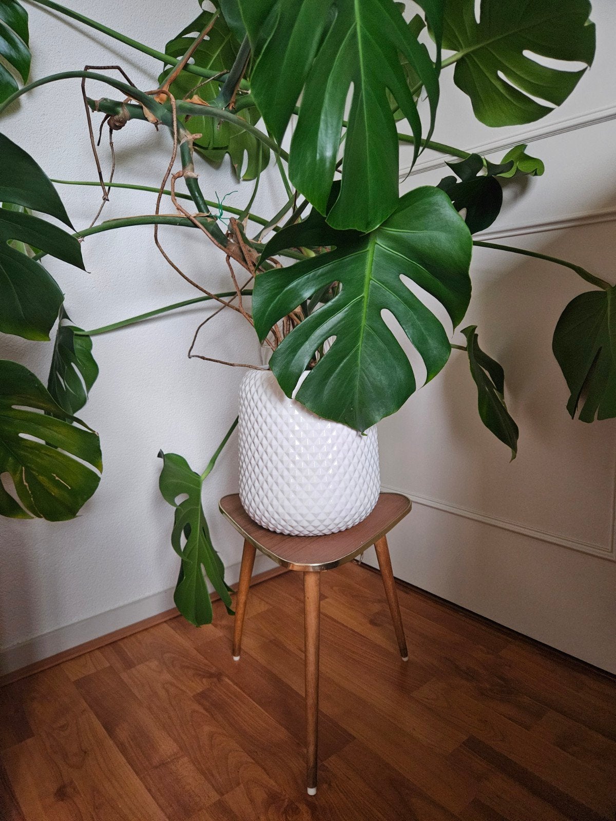 Vintage formica bijzet/plantentafel, Ophalen