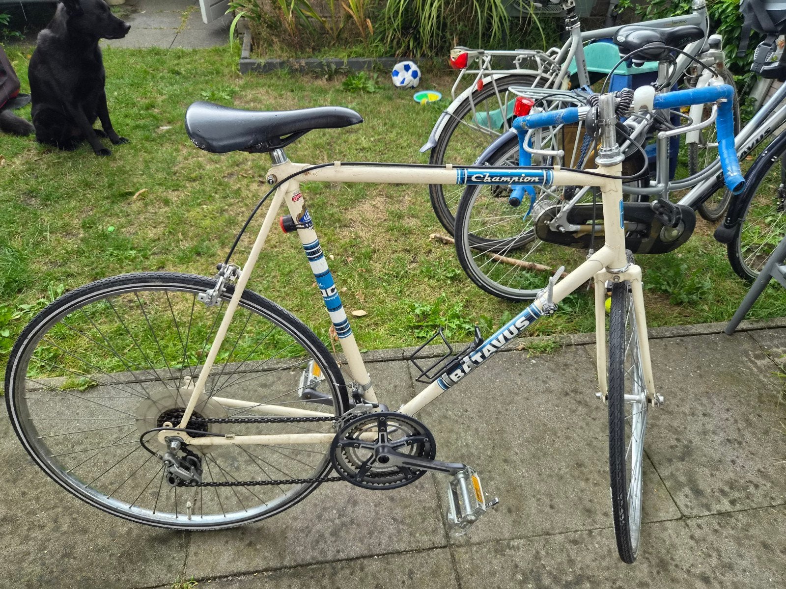 Batavus Champion racefiets - Vintage, Ophalen, Gebruikt, Batavus, 53 tot 57 cm