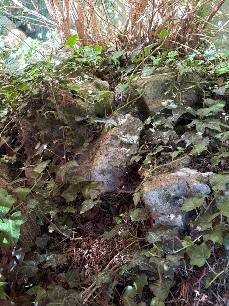 Natuurstenen rotsen/keien voor tuin of decoratie, Tuin en Terras, Tuinbeelden, Ophalen, Gebruikt, Steen, Overige typen