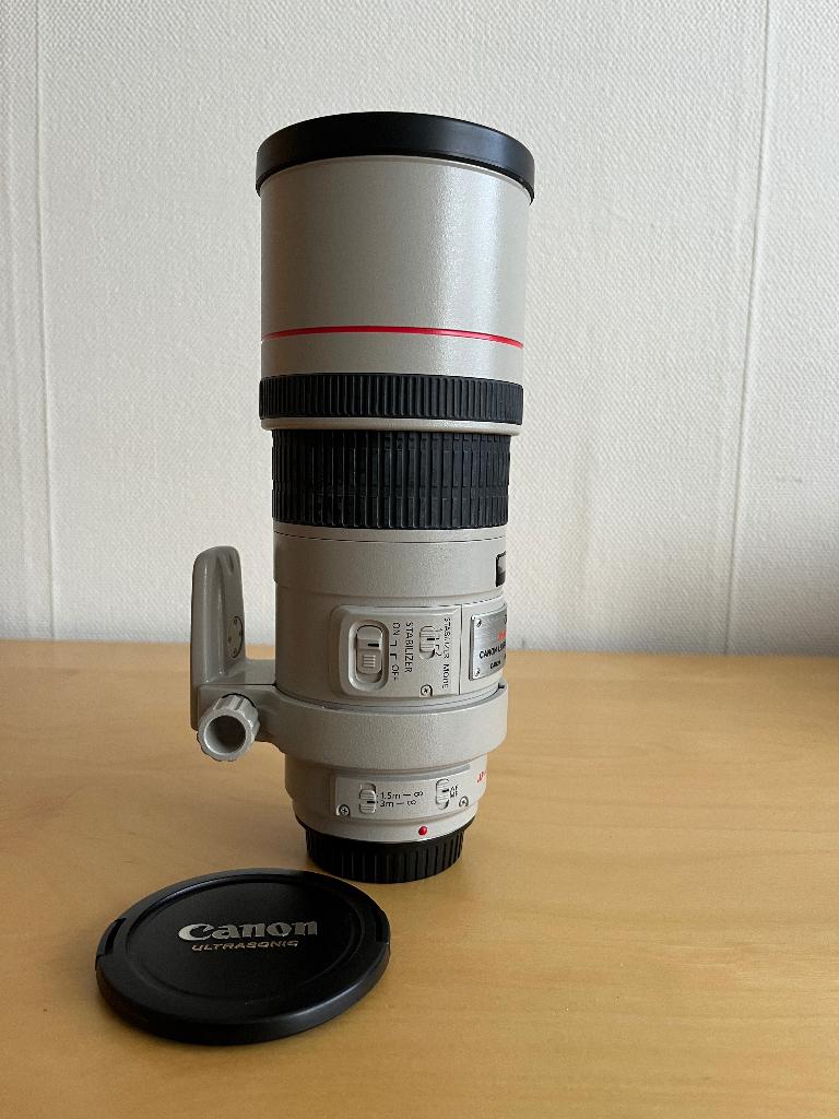 Canon EF 300mm F4 L USM telelens, Audio, Tv en Foto, Fotografie | Lenzen en Objectieven, Ophalen, Gebruikt, Telelens
