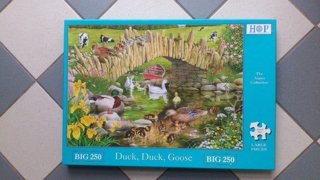 House of Puzzles (HOP) - Duck, Duck, Goose - 250 XL stukjes, Ophalen, Minder dan 500 stukjes, Zo goed als nieuw, Legpuzzel