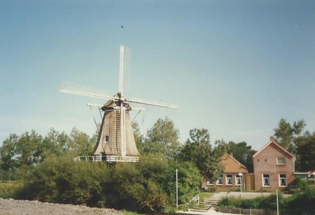 D-454  Foto molen - Vrouwenparochie, Verzenden, Foto, Zo goed als nieuw, Voor 1940