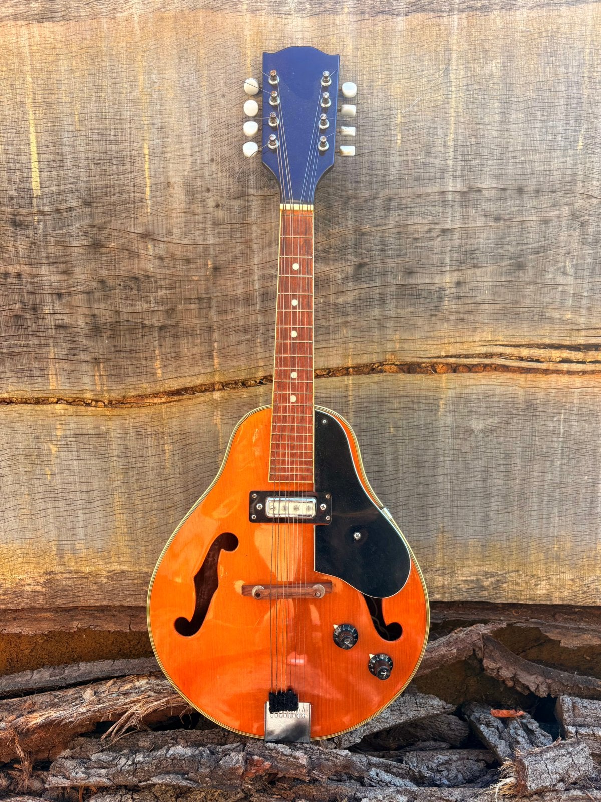 Vintage elektrische 8-snarige mandoline jaren ’60, Muziek en Instrumenten, Ophalen of Verzenden, Zo goed als nieuw, Solid body