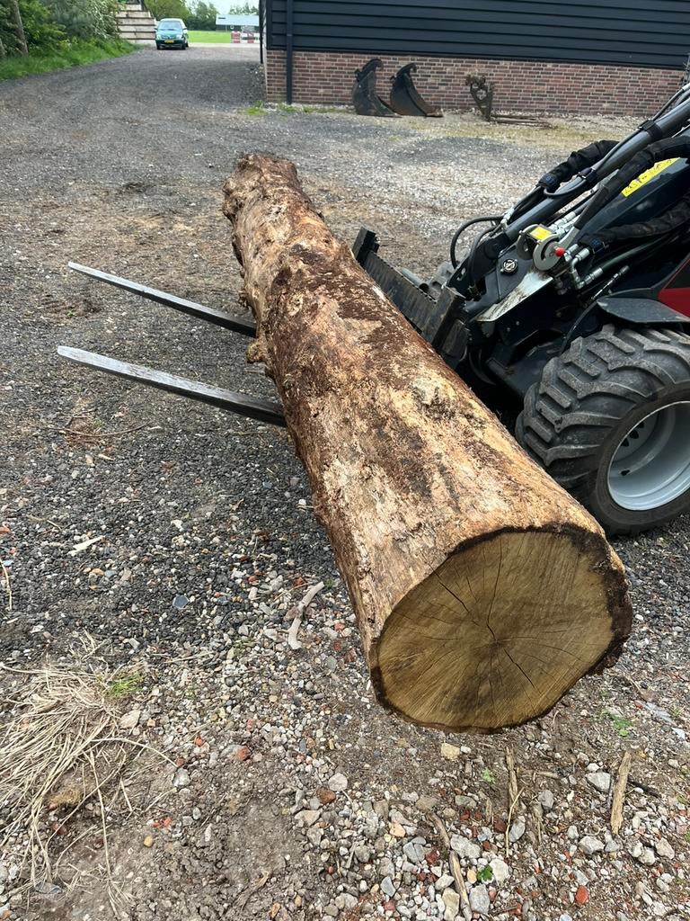 Eiken stammen - boomstammen, Tuin en Terras, Palen, Balken en Planken, Ophalen, Zo goed als nieuw, 250 cm of meer, Palen