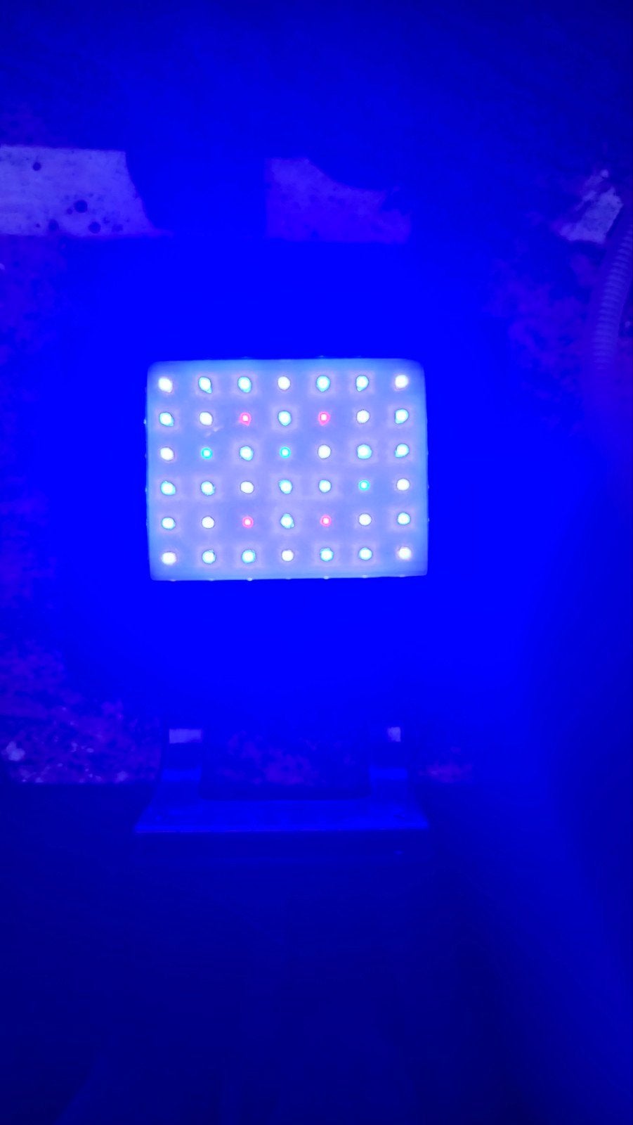 Bluemarine nanoled reef 90, Dieren en Toebehoren, Ophalen of Verzenden, Zo goed als nieuw, Verlichting of Verwarming