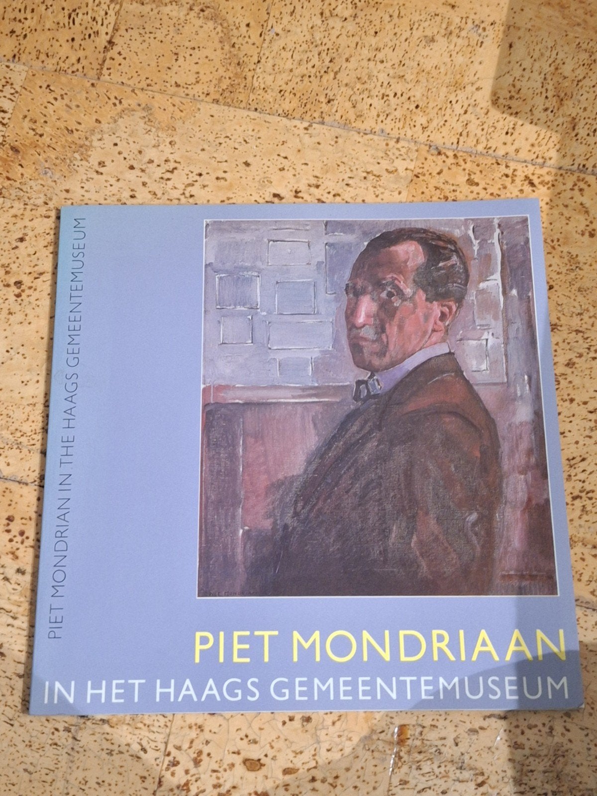 Piet Mondriaan in het Haags Gemeentemuseum kunstboeken, Ophalen of Verzenden, Gelezen, Schilder- en Tekenkunst, Piet Mondriaan