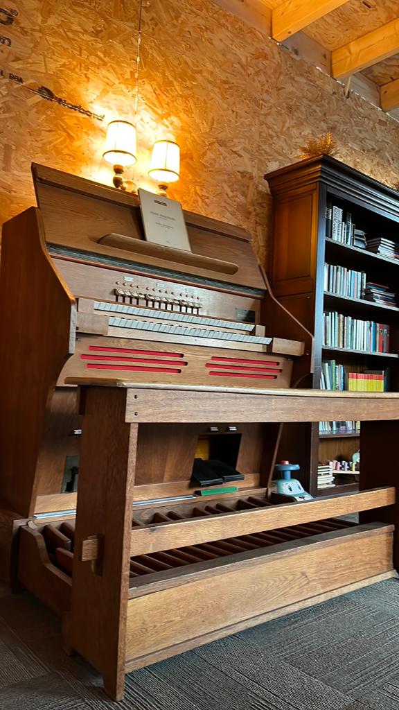Klassiek Orgel met Twee Klavieren - Pedalion, Ophalen, Gebruikt, 2 klavieren, Orgel