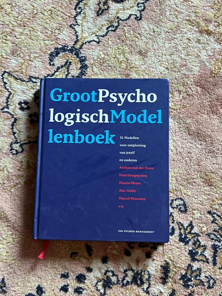 Groot Psychologisch Modellenboek, Boeken, Psychologie, Ophalen of Verzenden, Zo goed als nieuw