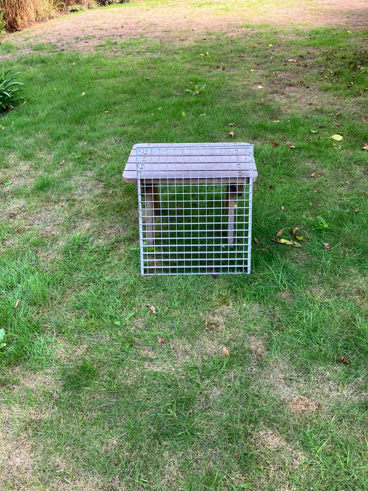 Rooster, Kooi, Minder dan 75 cm, Zo goed als nieuw, Ophalen