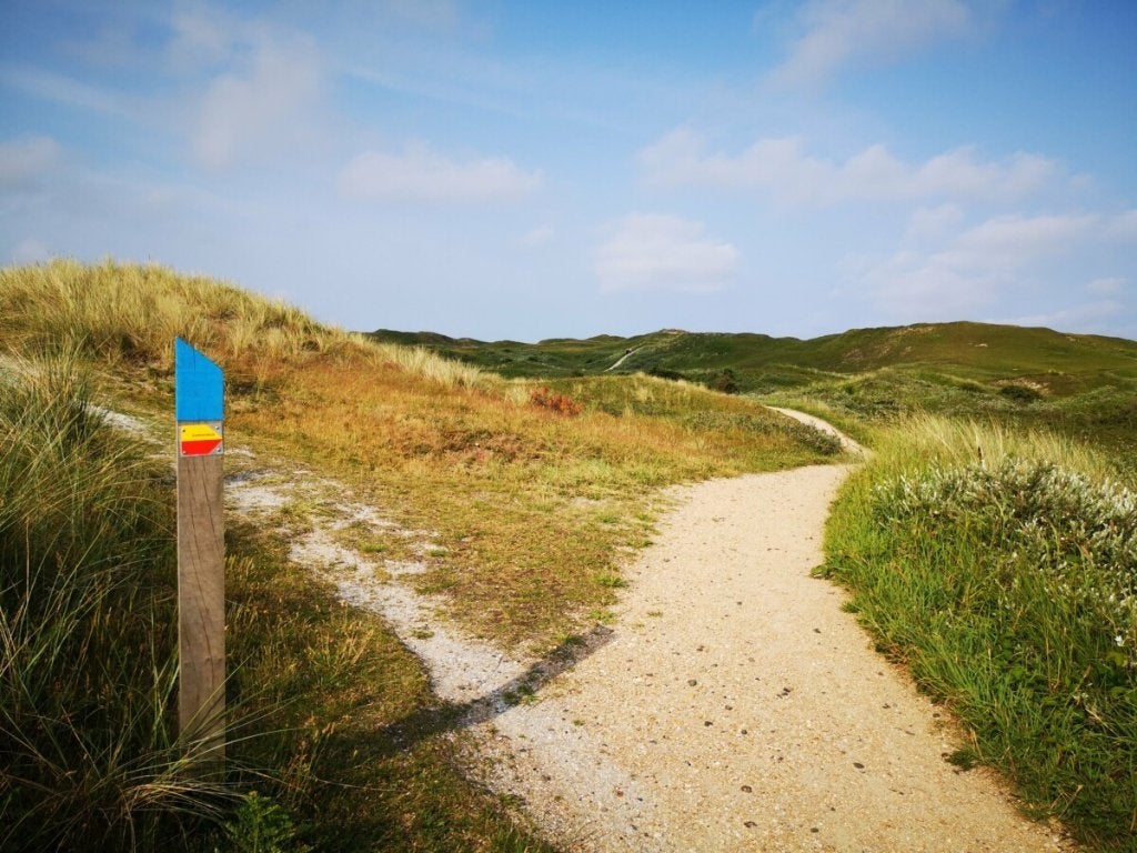 Man 53 goed verzorgd zoekt contact met een vrouw 40 tot55JR