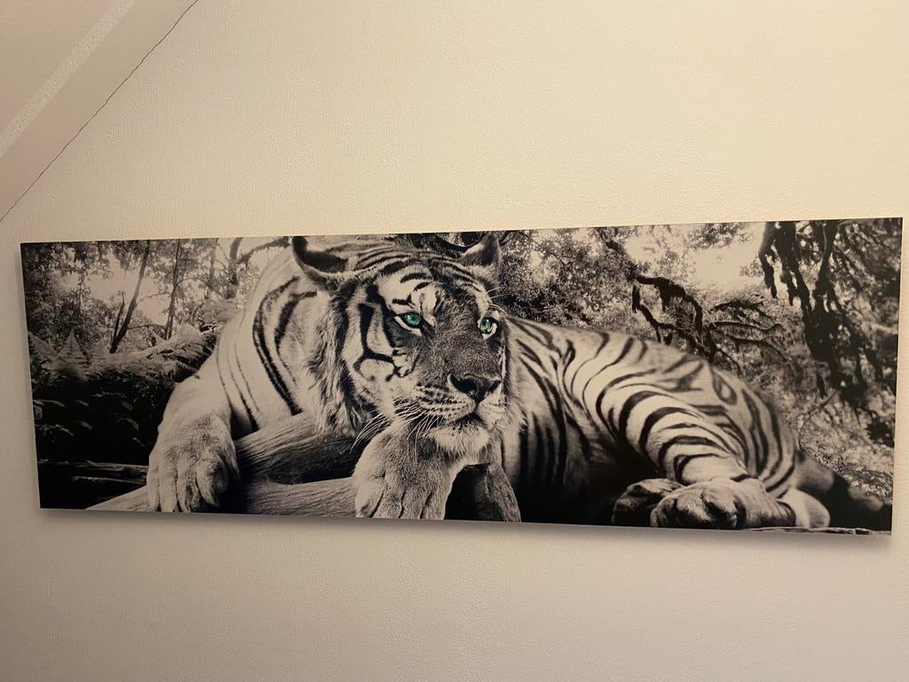 Schilderij (print) tijger, Ophalen of Verzenden