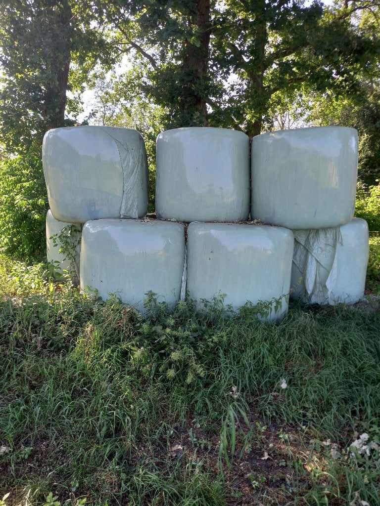 grote ronde balen hooi/kuil te koop 8stuks, Ophalen, Vee