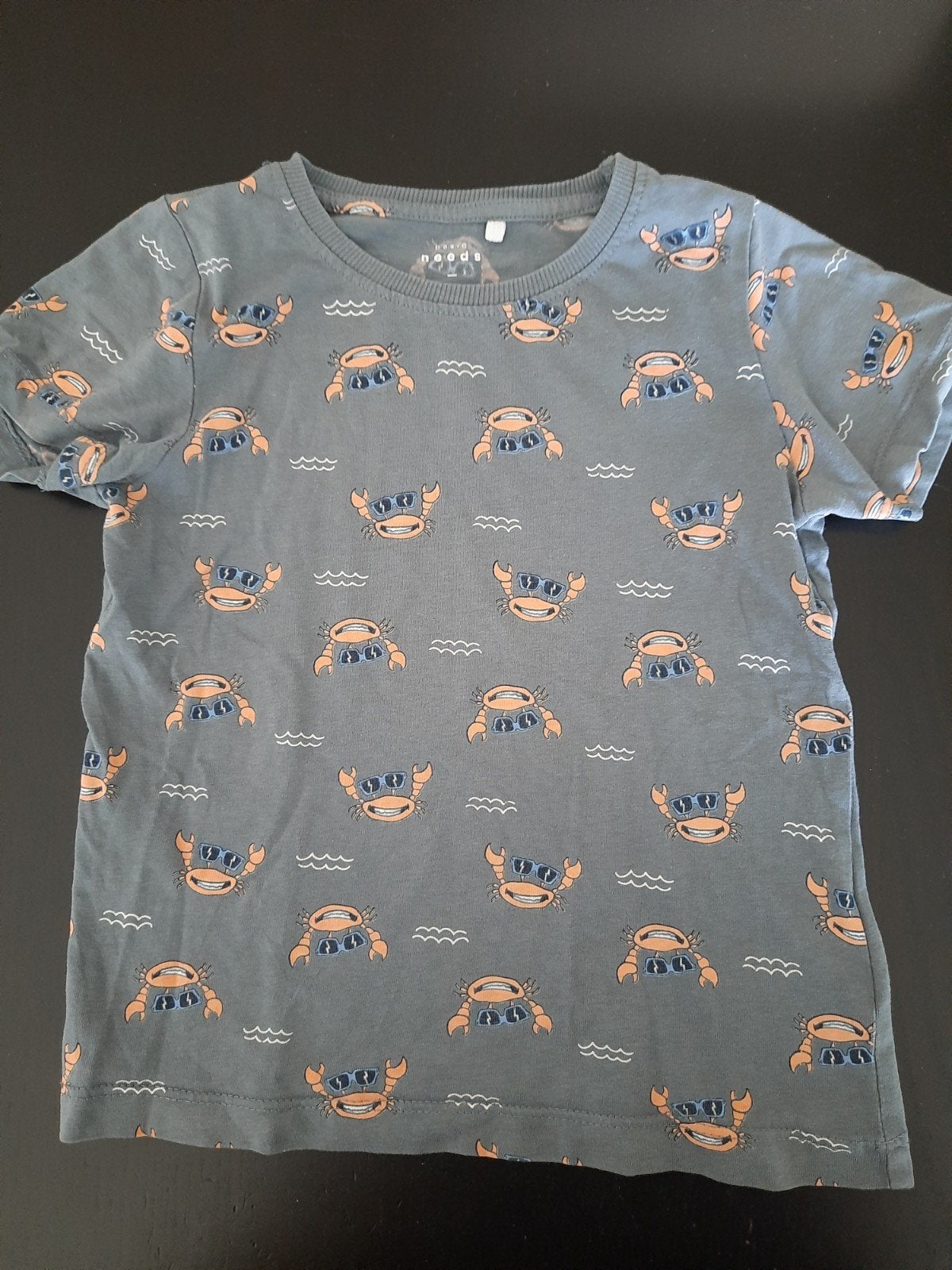 Blauwgrijs shirt met krabben maat 104, Kinderen en Baby's, Kinderkleding | Maat 104, Gebruikt, Ophalen of Verzenden, Shirt of Longsleeve
