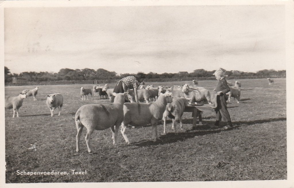 Texel, Ophalen of Verzenden, 1940 tot 1960, Gelopen, Waddeneilanden