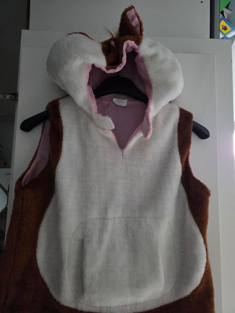 Schattig hamsterpak ah voor carnaval of themafeest, Ophalen of Verzenden, Jongen of Meisje