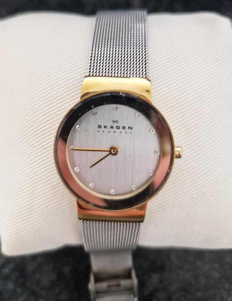Prachtig Dames Horloge SKAGEN ZGAN, Sieraden, Tassen en Uiterlijk, Horloges | Dames, Overige merken, Staal, Polshorloge, Ophalen of Verzenden
