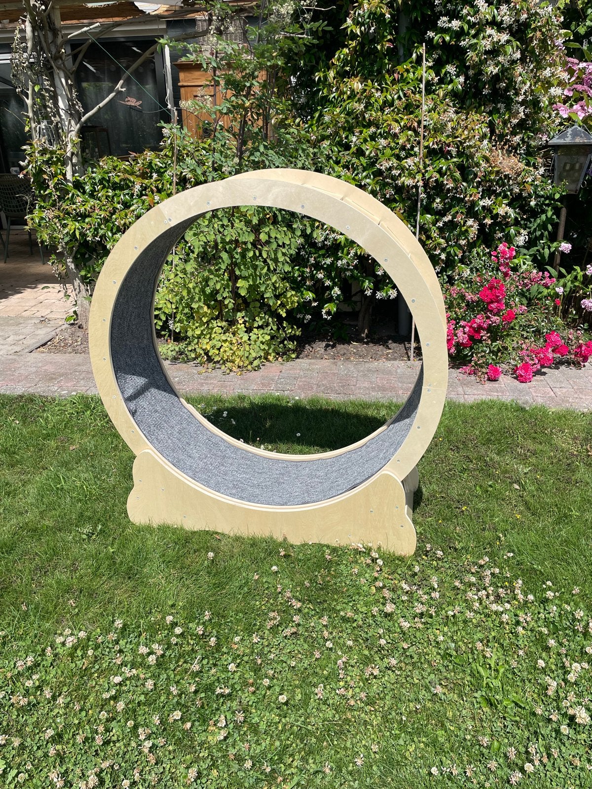 Loopwiel katten loopband, Dieren en Toebehoren, Ophalen