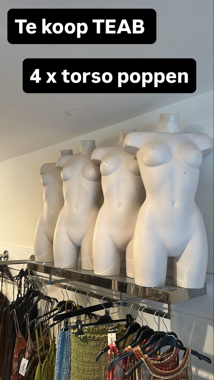 Diverse paspoppen: torso, zwart en plus size, Ophalen of Verzenden