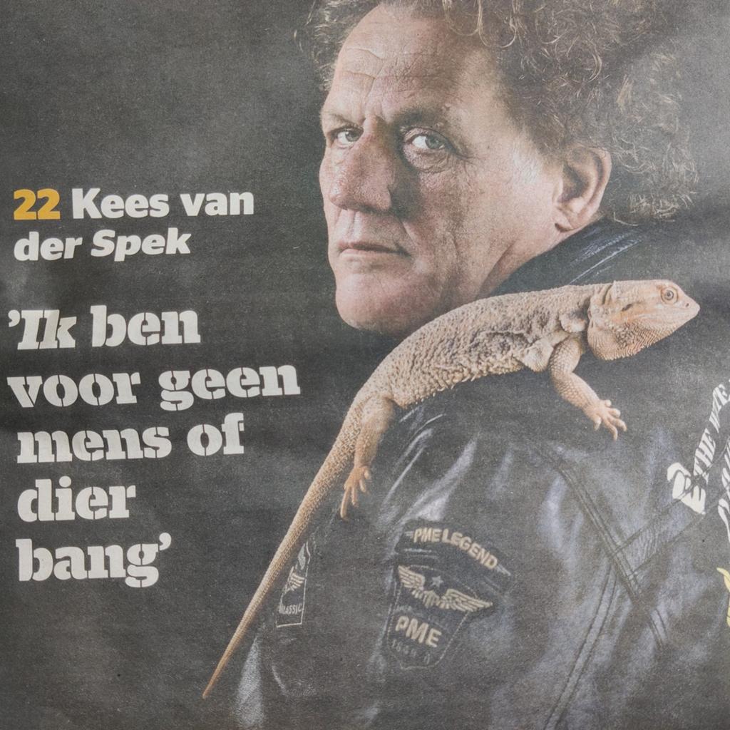 Kees van der Spek krantenartikel krantenknipsel 3 blz, Ophalen of Verzenden, 1980 tot heden, Nederland, Knipsel(s)