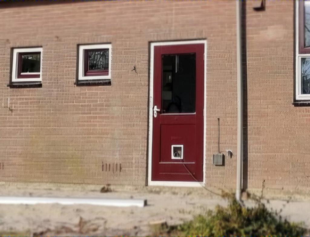 Gebruikte Buitendeur met Kattenluik, Doe-het-zelf en Verbouw, Deuren en Horren, Ophalen of Verzenden, Gebruikt, Buitendeur, 200 tot 215 cm