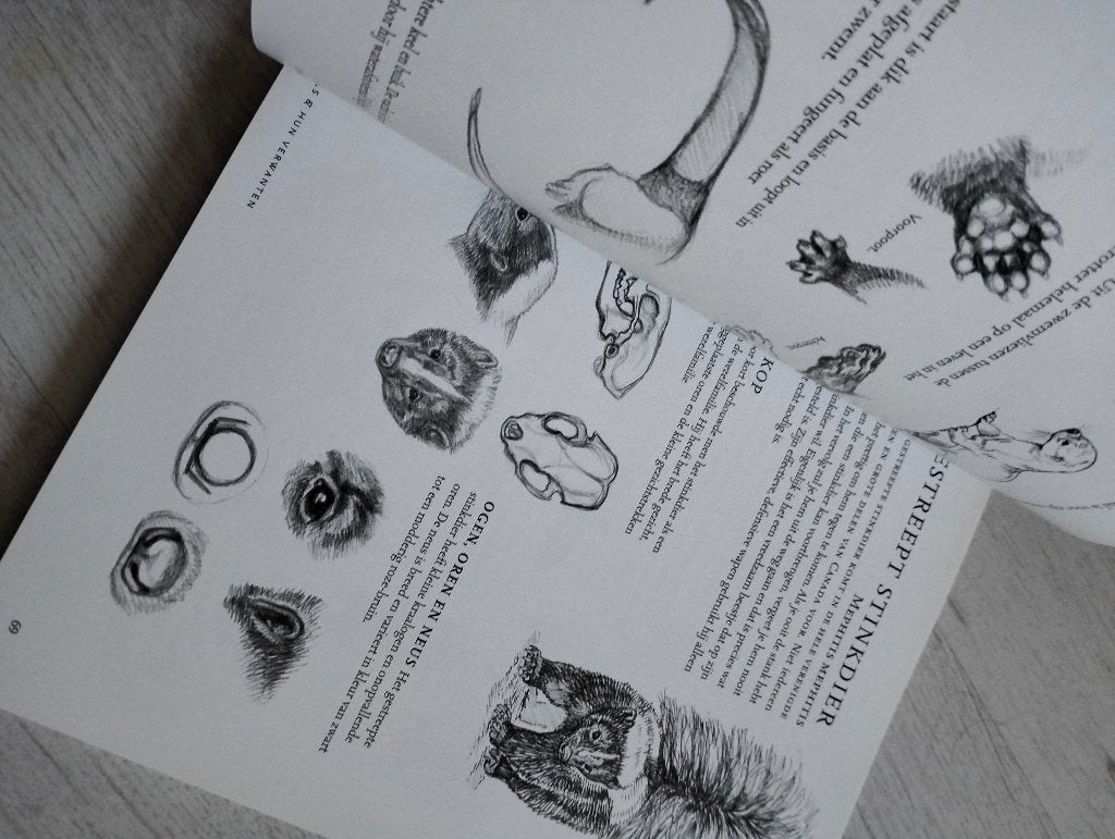 Wilde Dieren Tekenen - J.C. Ambelyn - Zo goed als nieuw, Boeken, Overige religies, J.C. Ambelyn, Ophalen of Verzenden, Zo goed als nieuw