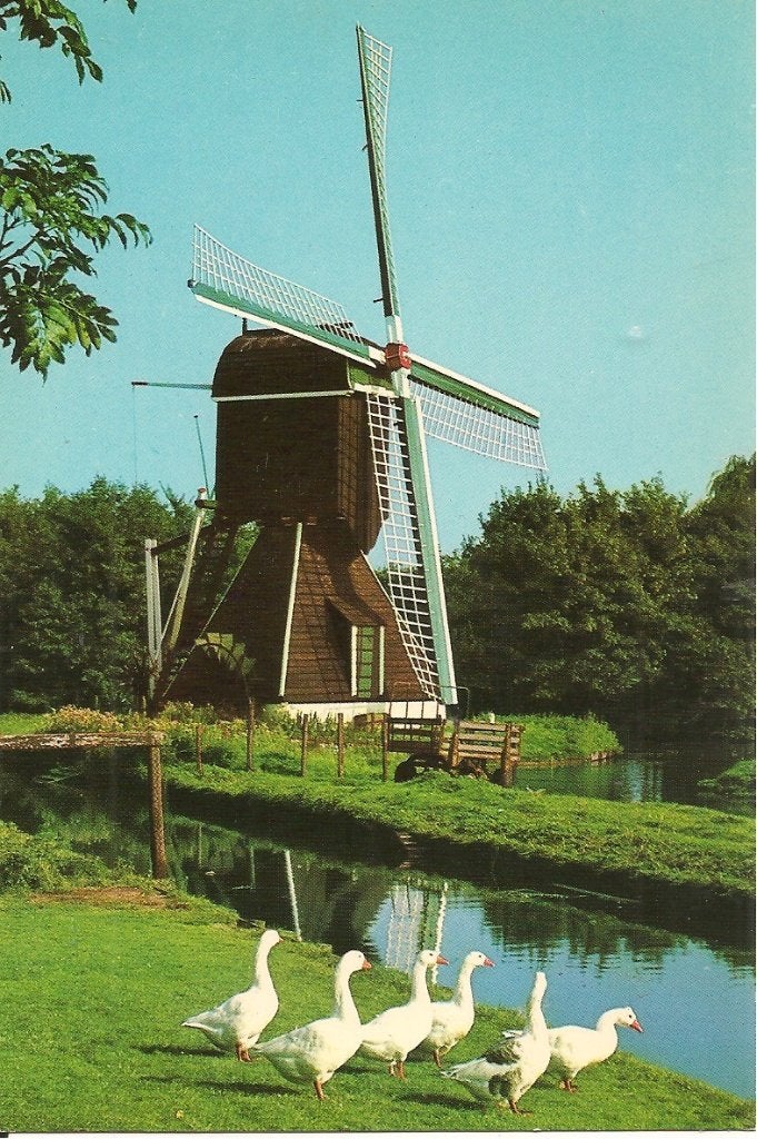 Oude ansichtkaart: Wip-watermolen, Haarlem, Holland, Ophalen of Verzenden, 1960 tot 1980, Ongelopen, Noord-Holland
