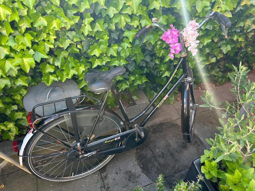 Damesfiets Raleigh, 55 cm of meer, Ophalen of Verzenden, Gebruikt, Minder dan 10 versnellingen