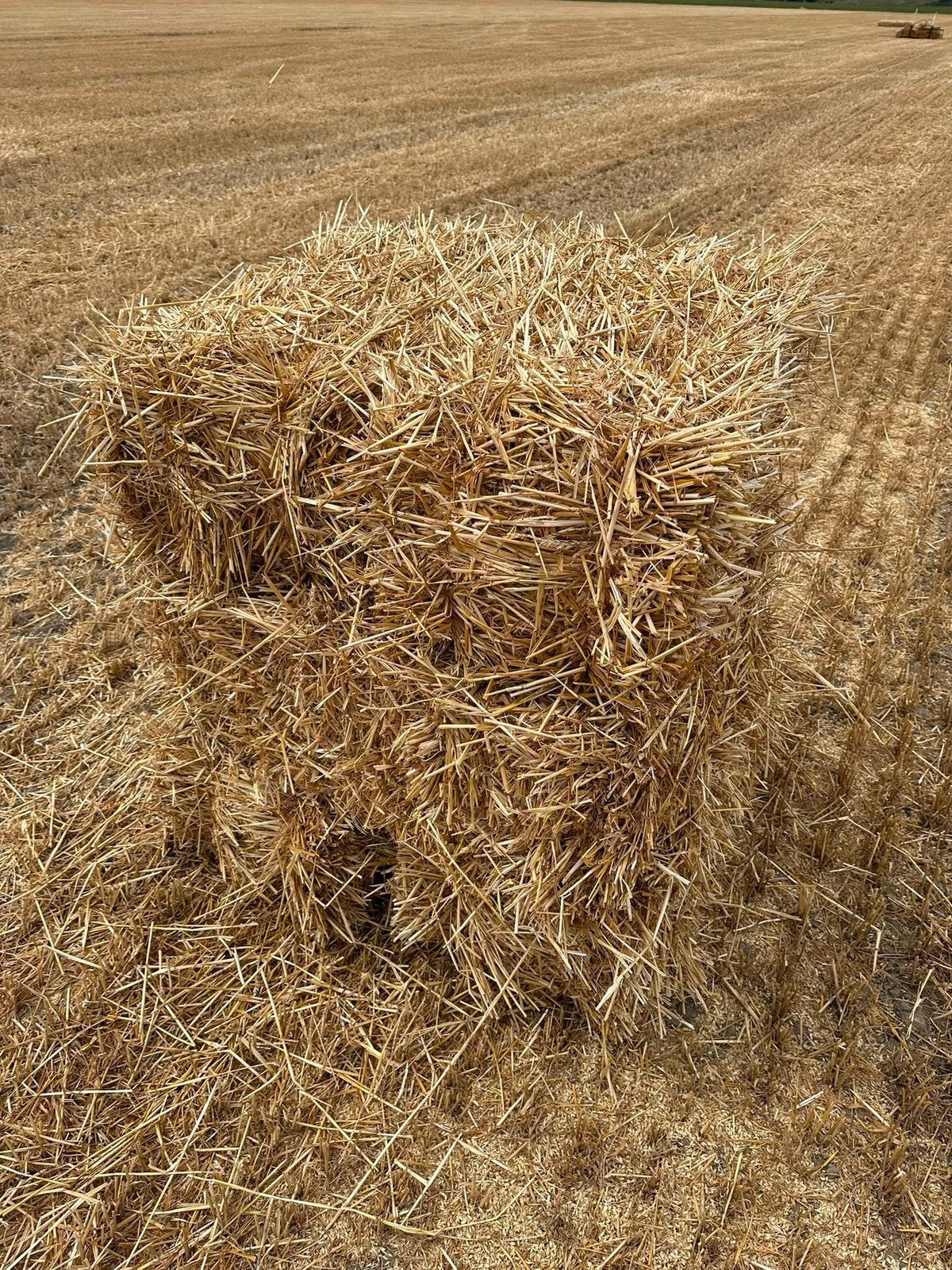 Kleine tarwe stro balen, Ophalen, Vee