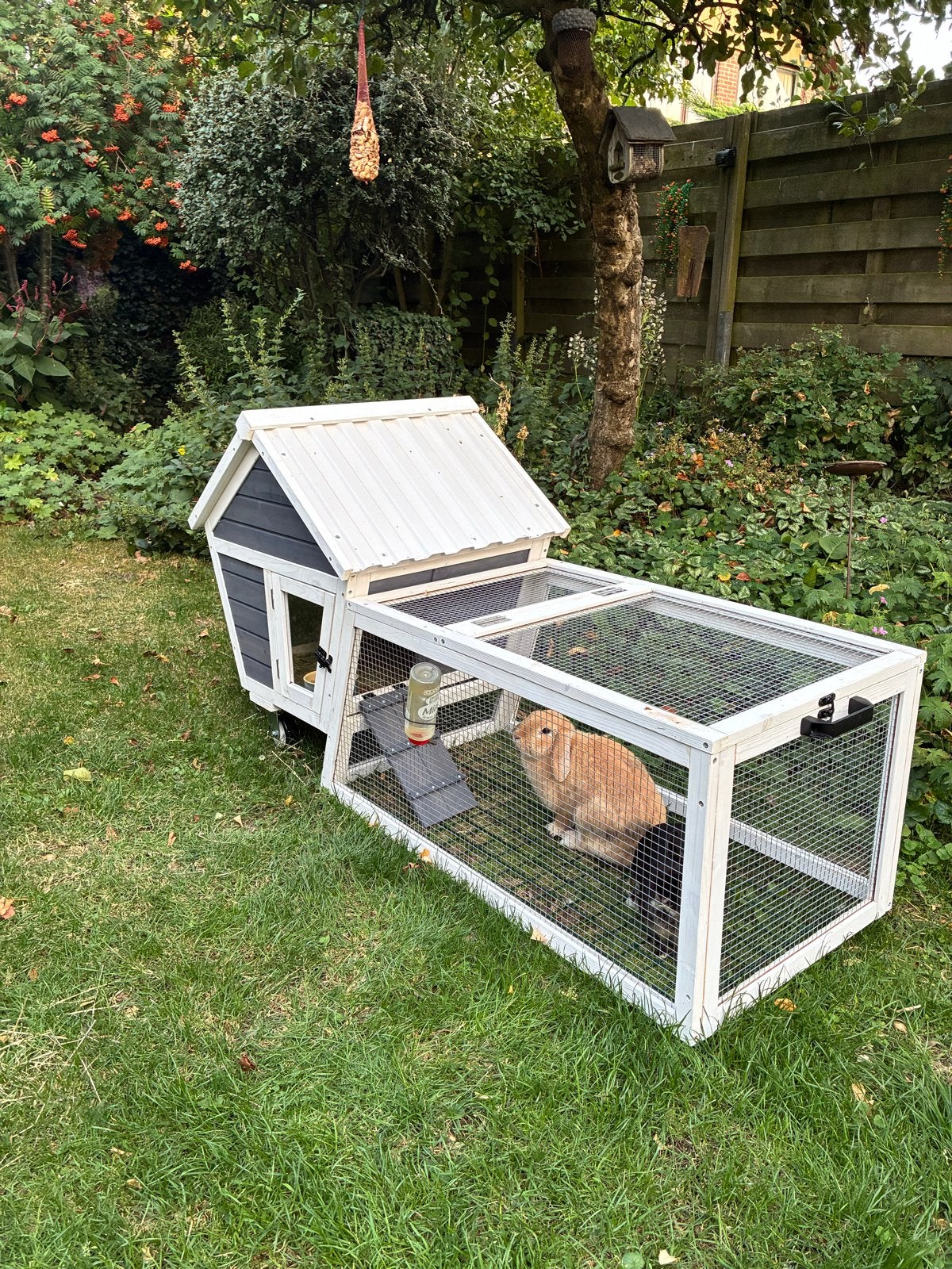 Te koop: Adori Konijnenhok Bux/ Zo goed als nieuw!, Dieren en Toebehoren, Ophalen, Zo goed als nieuw, Overige typen