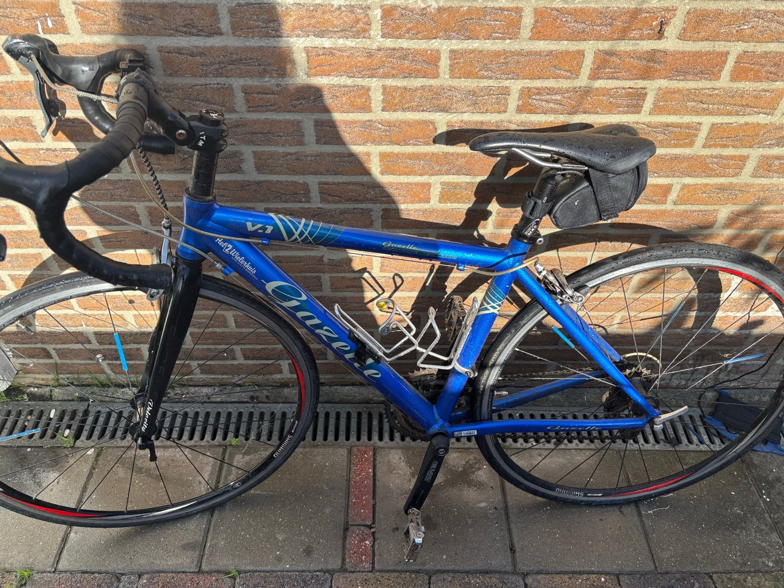 Mooie Gazelle racefiets - heeft een beurt nodig, Ophalen of Verzenden, Gebruikt, Gazelle