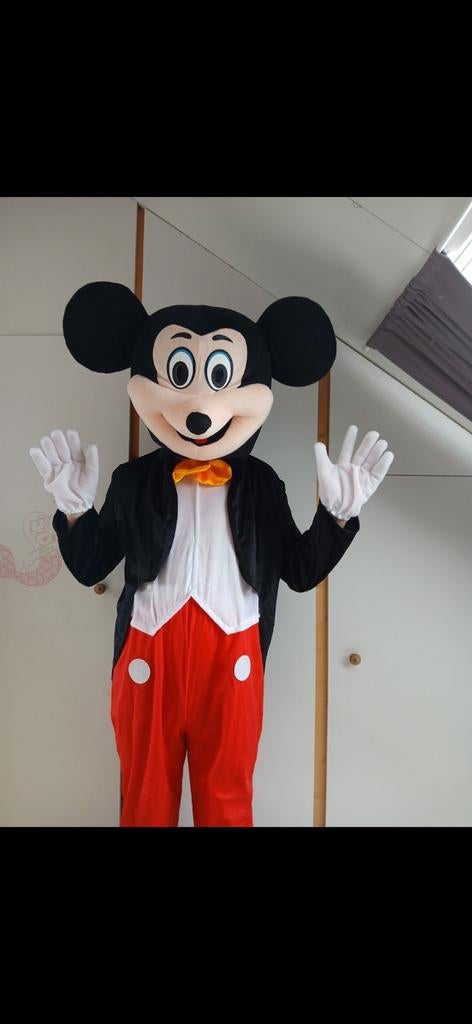 Mickey Mouse Mascottepak - Te Huur of Te Koop (150-175cm), Ophalen of Verzenden, Gebruikt, Pak of Jurk