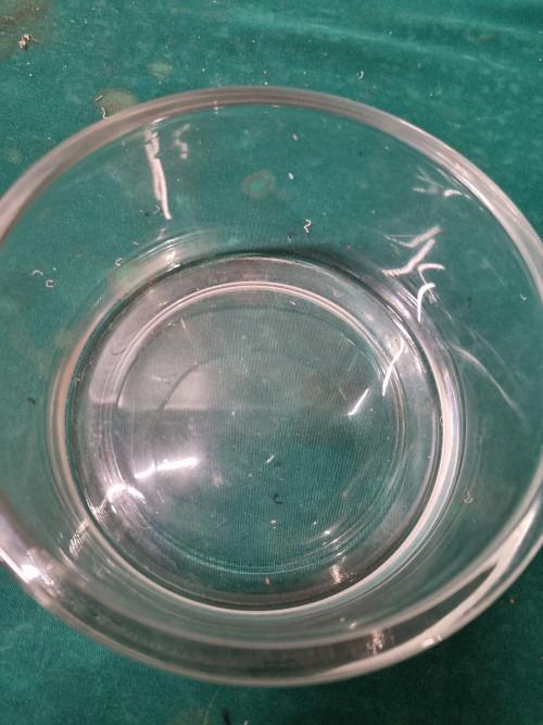 bloempot dik glas rond, Tuin en Terras, Bloempotten, Ophalen of Verzenden, 'T Olde Gre-j, Info@toldegrej.nl, Endepoelstraat 20f Didam