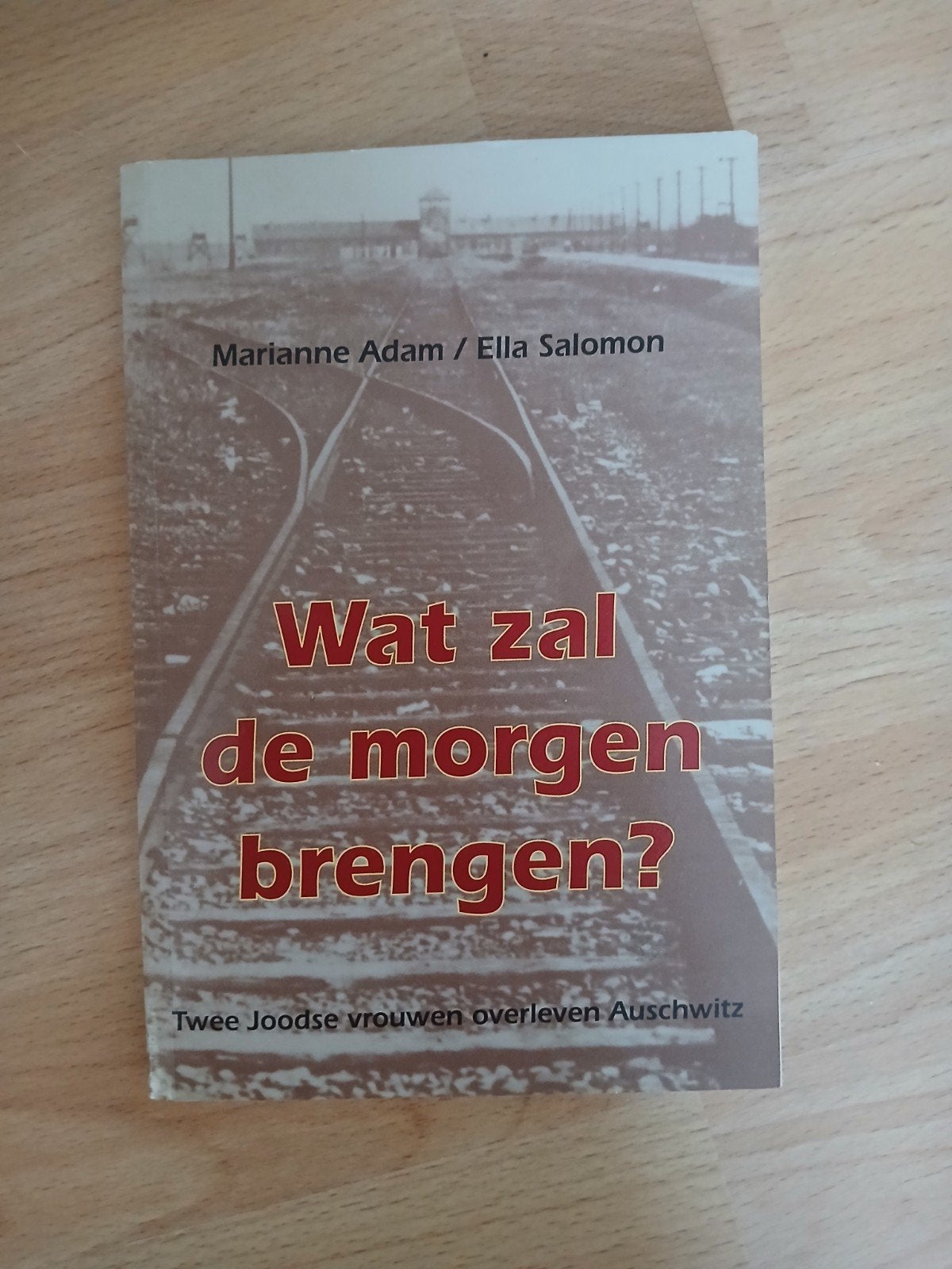 M. Adam - Wat zal de morgen brengen?, Boeken, Ophalen, Zo goed als nieuw, M. Adam
