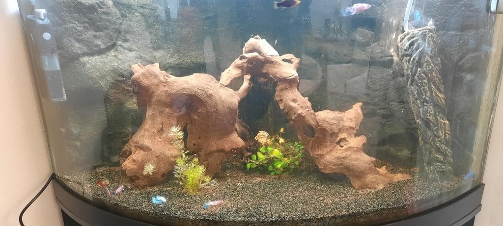 Juwel Trigon 190 liter, Dieren en Toebehoren, Ophalen, Gebruikt, Leeg aquarium