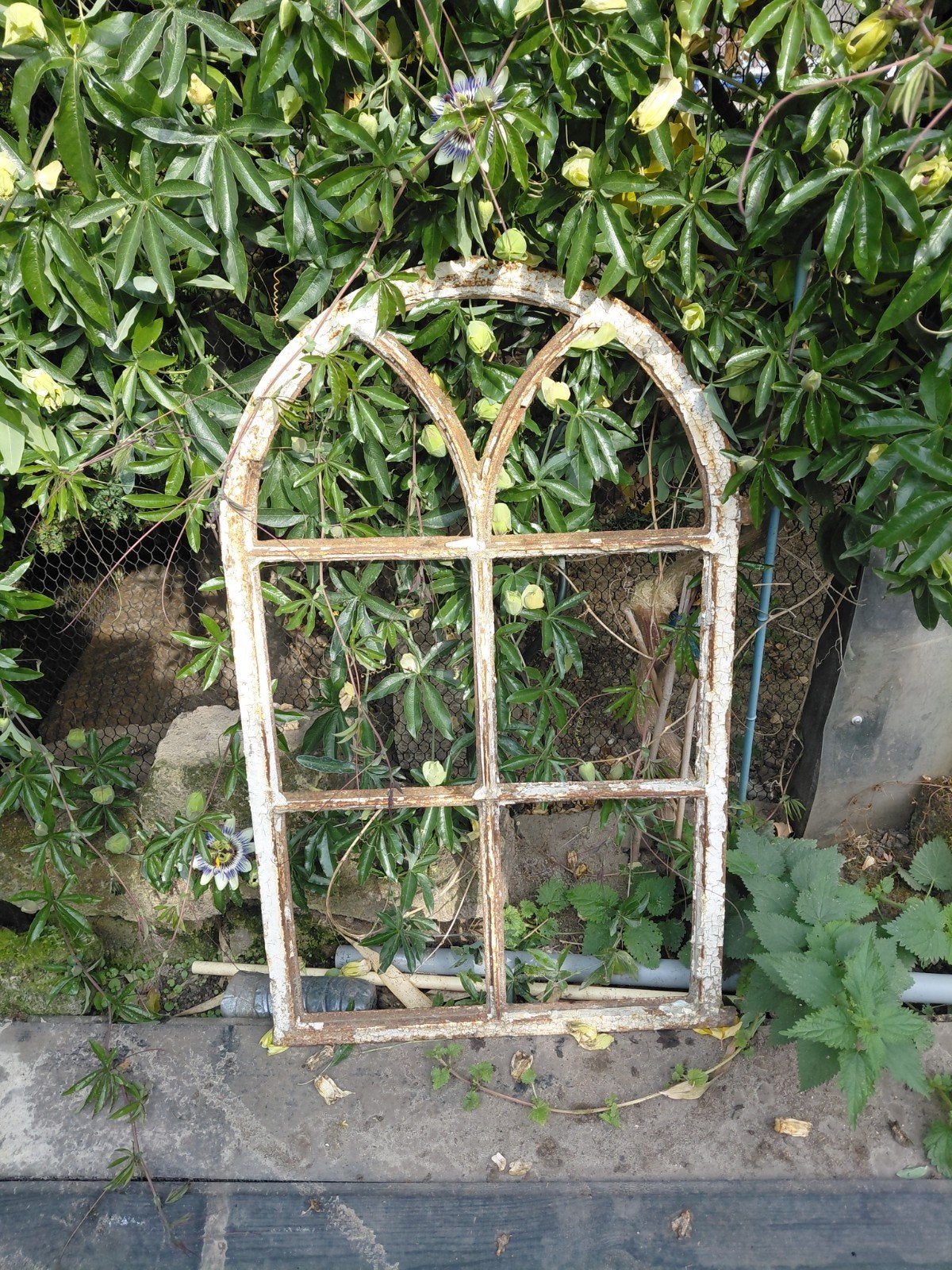 Decoratief Toograam - Antiek Stijl Raamkozijn, Doe-het-zelf en Verbouw, Ophalen of Verzenden, Minder dan 80 cm, Gevelraam of Ruit