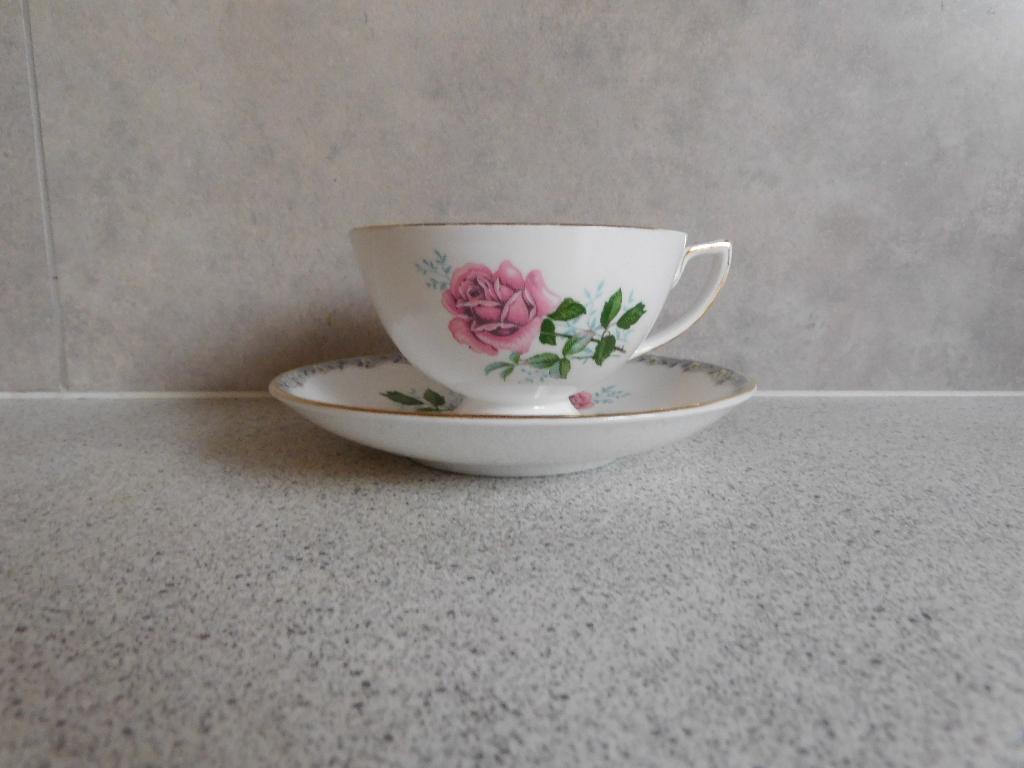 Kop en schotel Fine Bone China Royal Park, Ophalen of Verzenden, Zo goed als nieuw, Porselein, Kop en/of schotel
