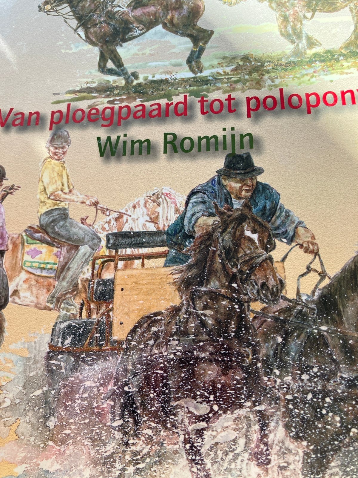 Van ploegpaard tot polopony - Wim Romijn (Nieuw), Ophalen of Verzenden, Nieuw, Overige onderwerpen