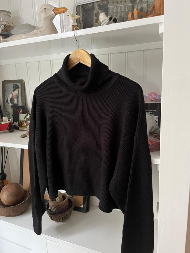 Kort truitje mt l, Kleding | Dames, Ophalen of Verzenden, Zo goed als nieuw, Maat 46/48 (XL) of groter, Zwart
