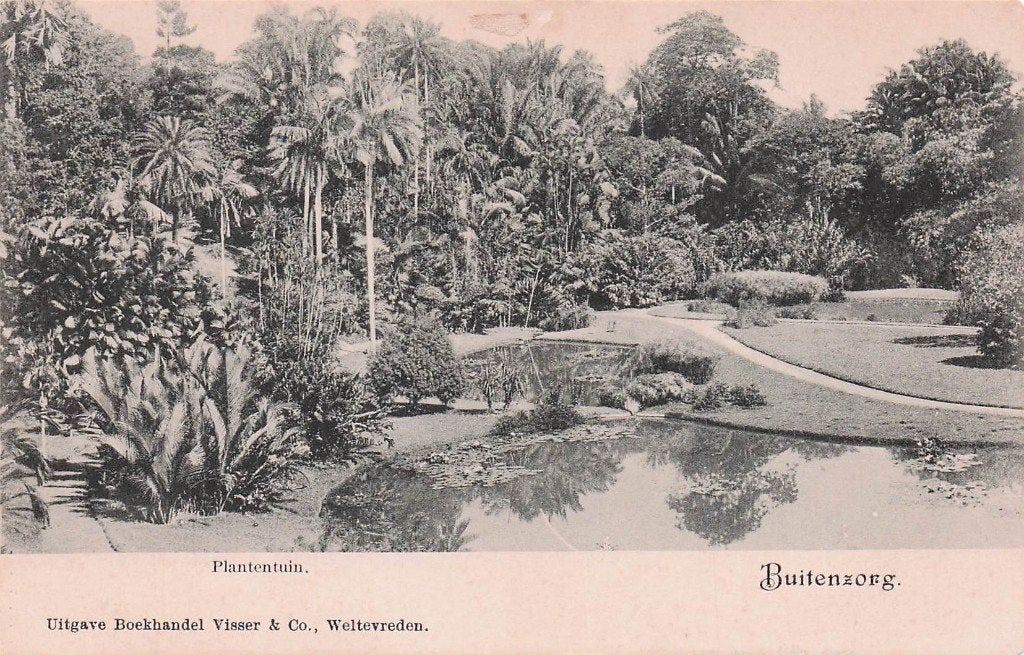 Nederlands Indië Buitenzorg - Plantentuin, Ophalen of Verzenden, 1920 tot 1940, Ongelopen, Buiten Europa
