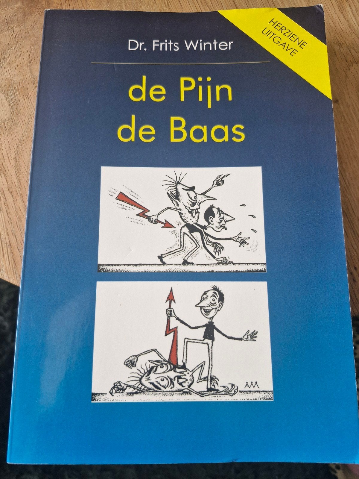 de Pijn de Baas, Ophalen of Verzenden, Zo goed als nieuw