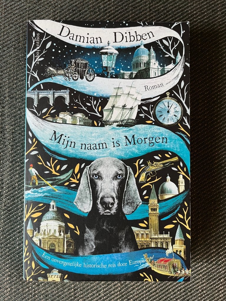 Damian Dibben - Mijn naam is Morgen., Ophalen of Verzenden, Zo goed als nieuw, Damian Dibben
