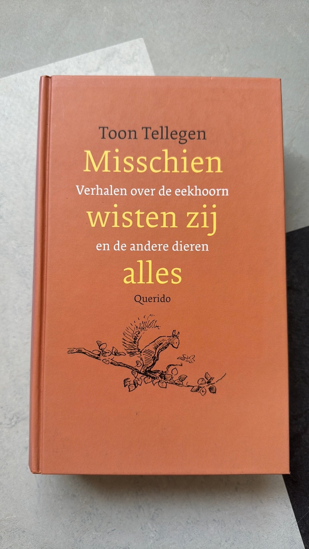 Toon Tellegen - Misschien wisten zij alles, Ophalen of Verzenden, Zo goed als nieuw, Toon Tellegen