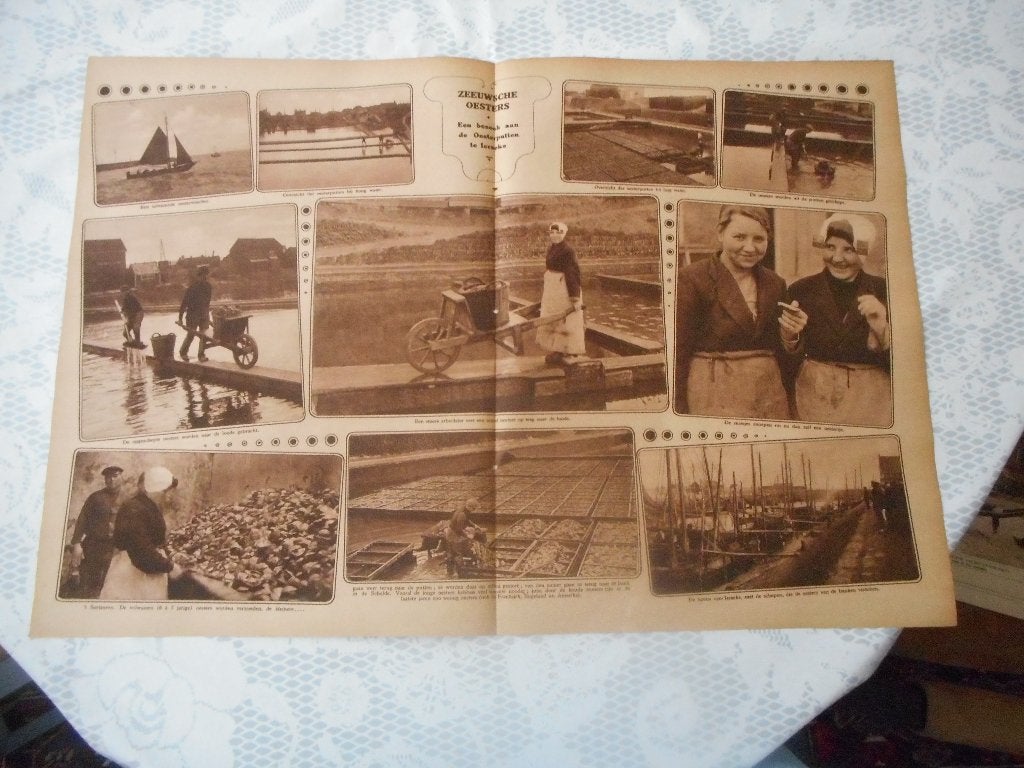 Yerseke. De oesterputten. Zeeland. 1924., Ophalen of Verzenden, 1920 tot 1940, Nederland, Knipsel(s)