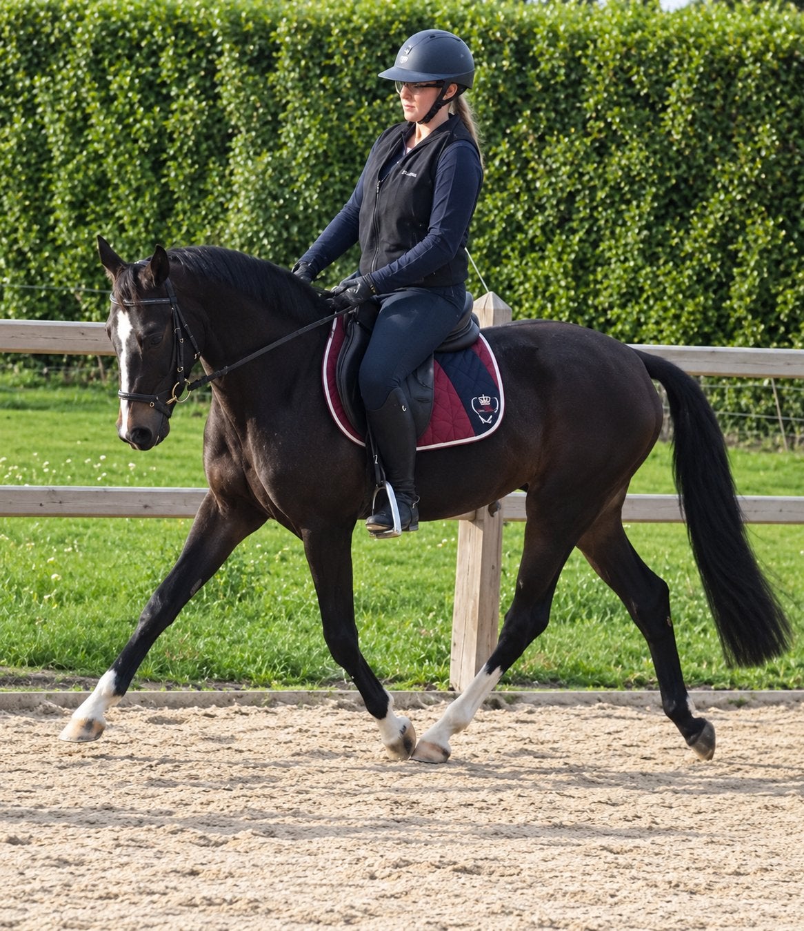 Jong getalenteerde kindvriendelijke D pony, Dieren en Toebehoren, Ruin, B, D pony (1.37m tot 1.48m), 3 tot 6 jaar