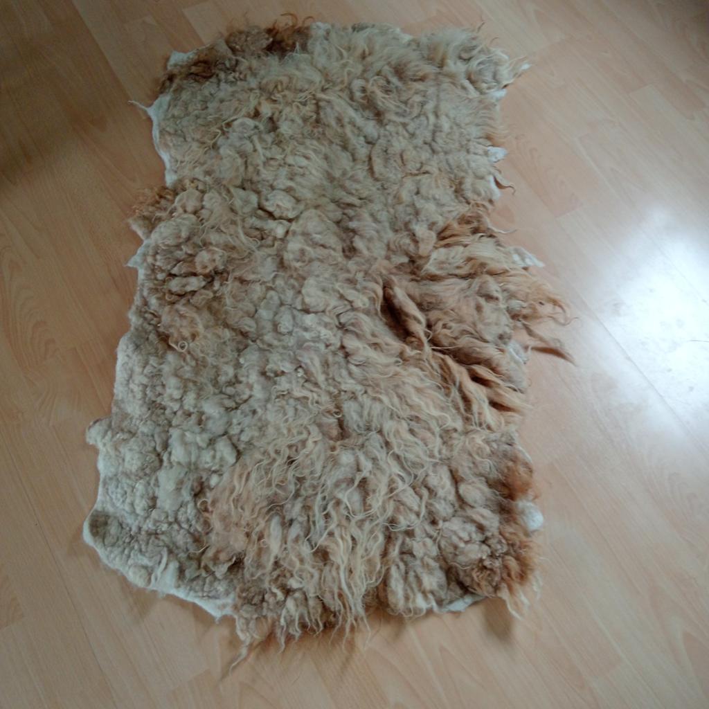 Grote zelfgevilt schapenvacht - Uniek en natuurlijk, Bruin, 100 tot 150 cm, Zo goed als nieuw, Natuurlijk, Landelijk, Boho
