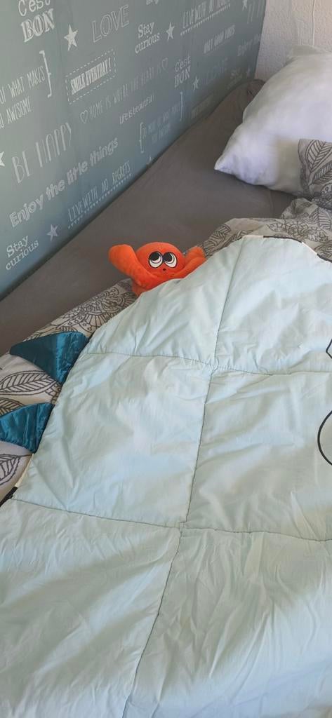 Leuk speelkleed, Ophalen