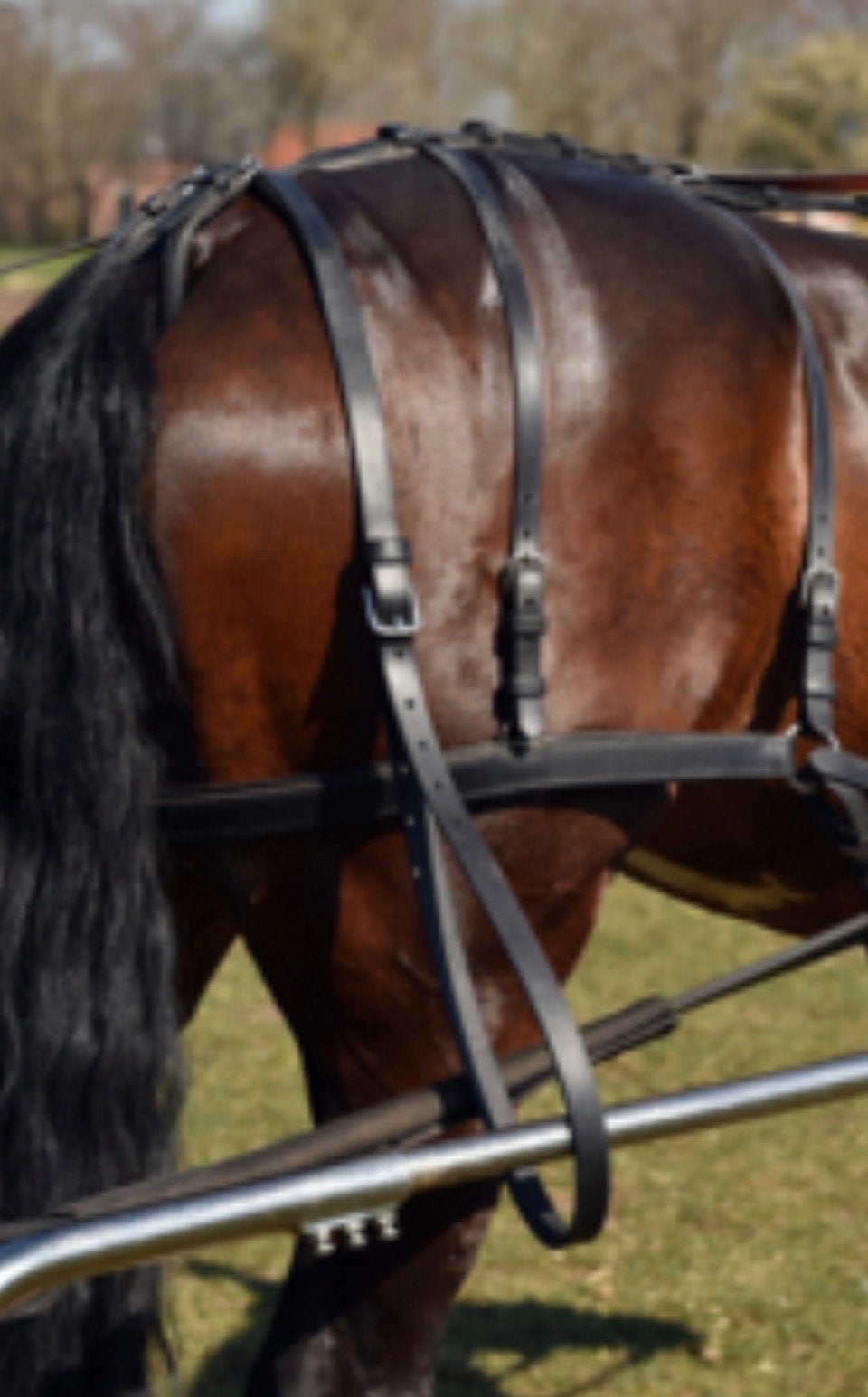 Slagriem kunststof zwart, Ideal Equestrian, Overige disciplines, Ophalen of Verzenden, Overige maten